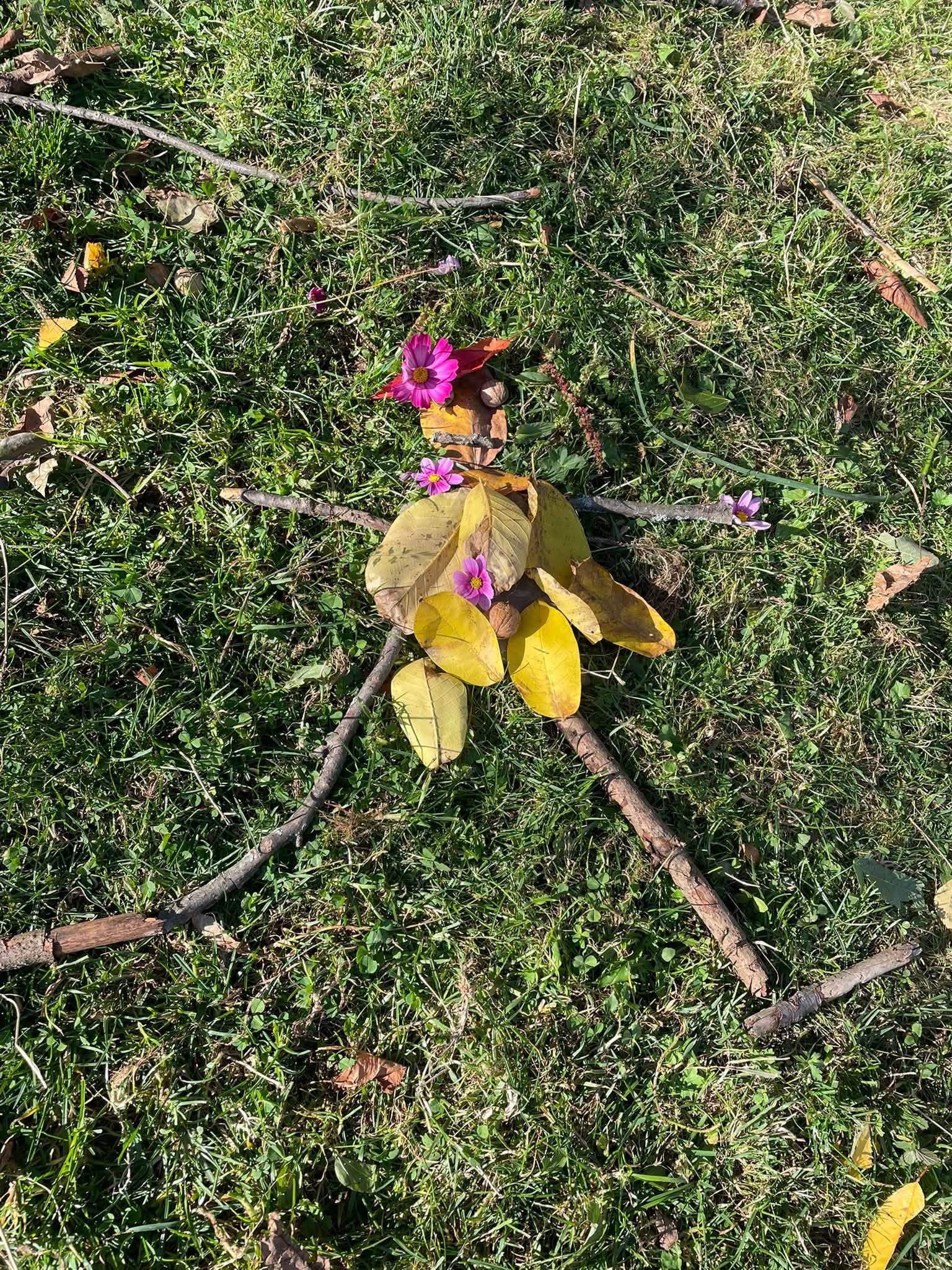 image00047